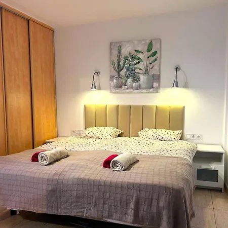 Comfortable 2 Bed In Arguineguin